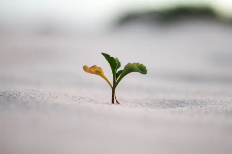 Investment Strategies for Effective Retirement Planning at Any Age